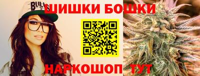 spice Кингисепп