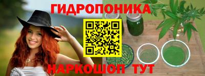 spice Кингисепп