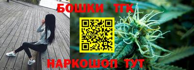 spice Кингисепп