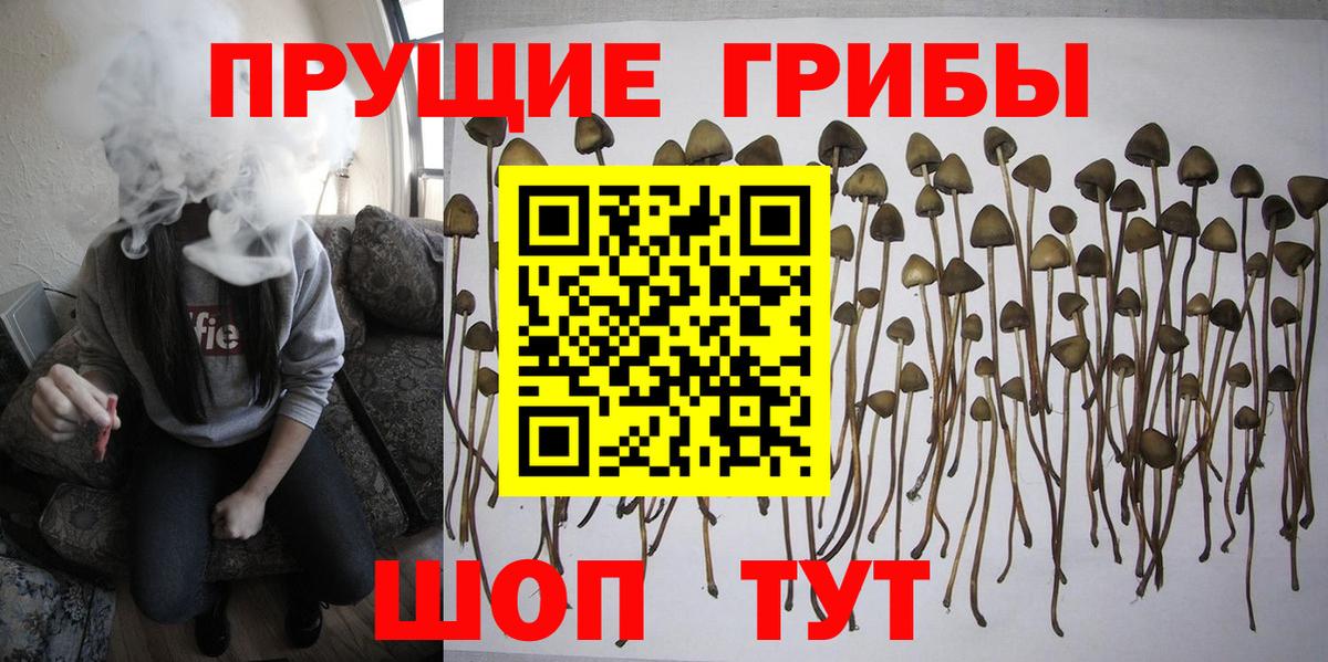 Галлюциногенные грибы ЛСД Коркино