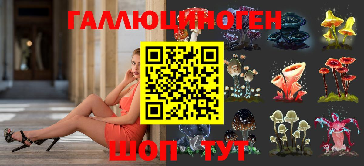 Галлюциногенные грибы прущие грибы  Псилоцибиновые грибы Psilocybe  Коркино  Вход с VPN 